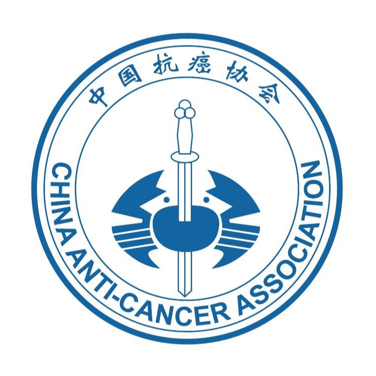3377体育官网